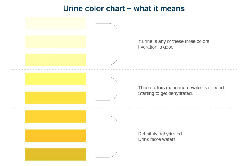 What color is your pee chart
