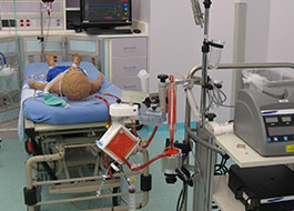 simlab-nicuecmo-1
