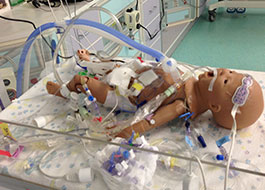 Simulated newborn ECMO