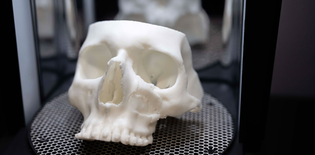 3D printed skull