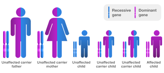 Sickle Cell Gene Carriers