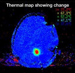 Thermal map showing change