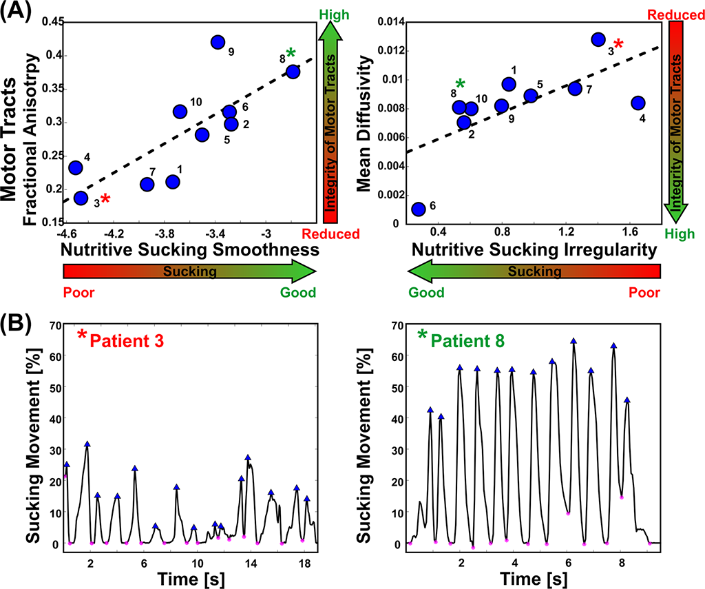 Neo-Fig-2---second-image